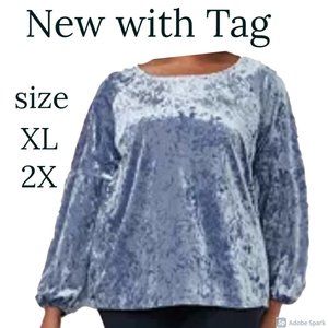 bundle&save NWT volume sleeve boho velvet top
